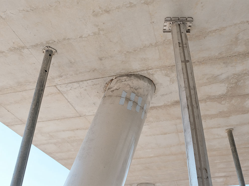 Startseite 8 Begutachtung